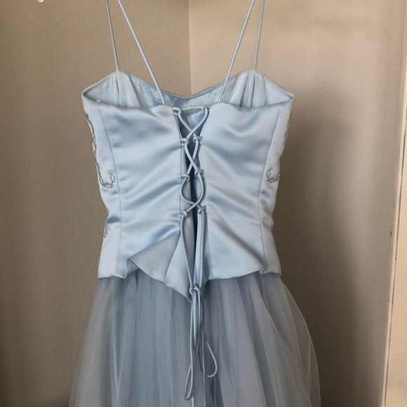 Cinderella Prom Dress - Picture 4 of 5